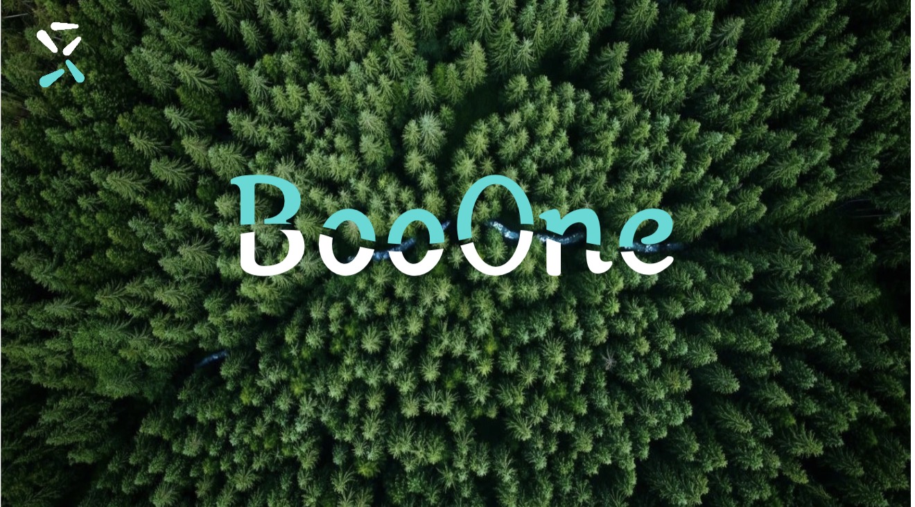 BooOne — aerial view of Australian forest